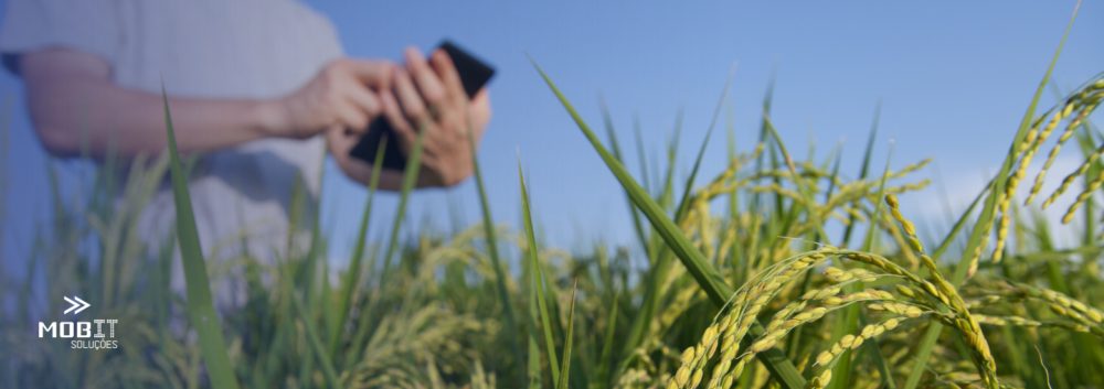 rede para agronegócio conectividade rural